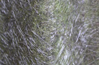 Cockfosters fibreglass roof work